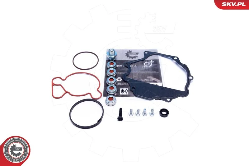 Conjunto de Reparo, bomba de vácuo (sistema de frenagem) ESEN SKV 18SKV809