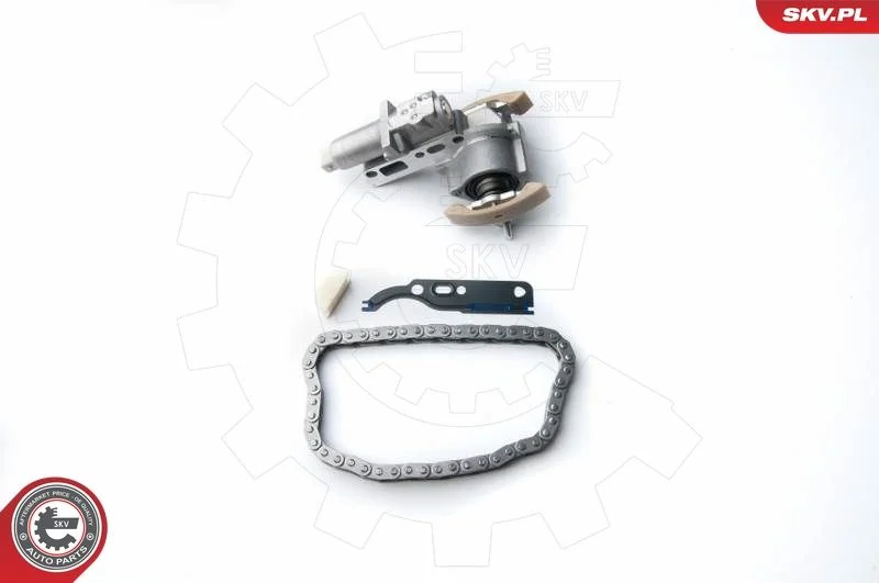 Kit de corrente de distribuição ESEN SKV 21SKV030