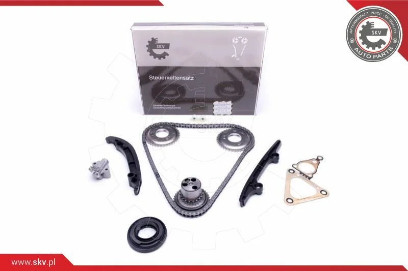 Kit de corrente de distribuição ESEN SKV 21SKV119