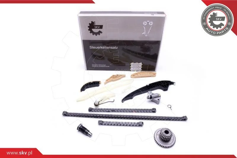 Kit de corrente de distribuição ESEN SKV 21SKV139