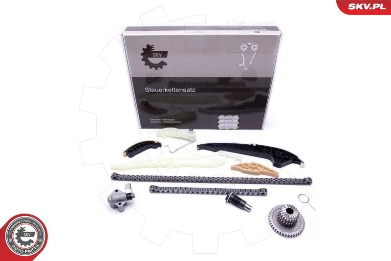 Kit de corrente de distribuição ESEN SKV 21SKV161