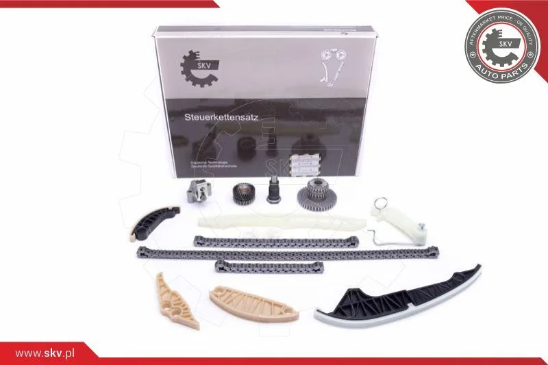 Kit de corrente de distribuição ESEN SKV 21SKV162