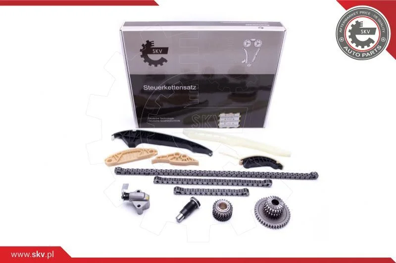 Kit de corrente de distribuição ESEN SKV 21SKV163