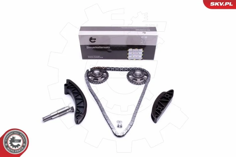 Kit de corrente de distribuição ESEN SKV 21SKV171