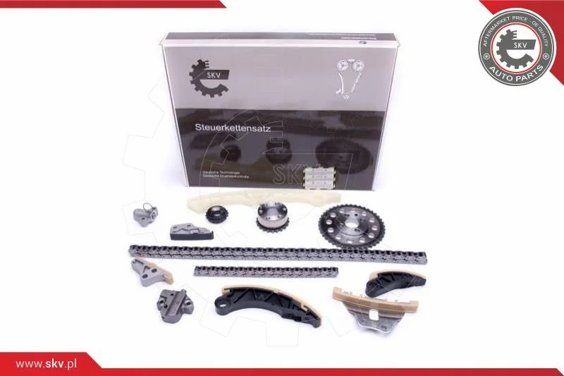 Kit de corrente de distribuição ESEN SKV 21SKV176