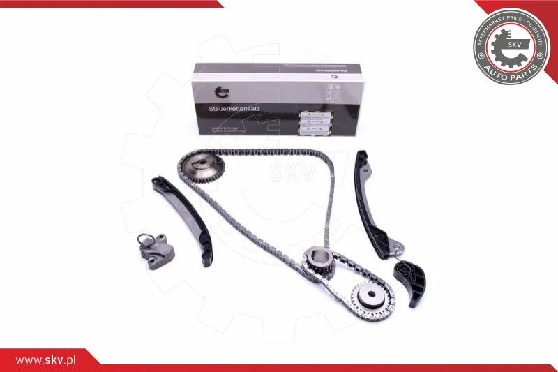 Kit de corrente de distribuição ESEN SKV 21SKV187