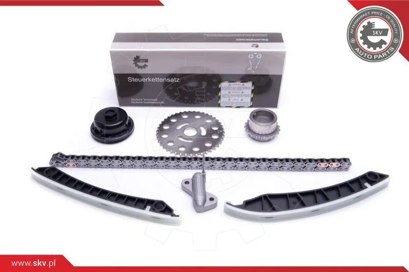 Kit de corrente de distribuição ESEN SKV 21SKV193