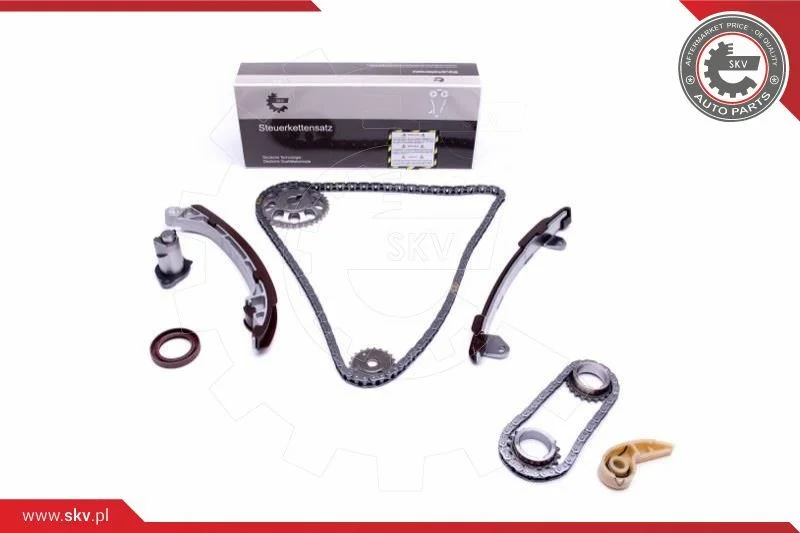 Kit de corrente de distribuição ESEN SKV 21SKV195