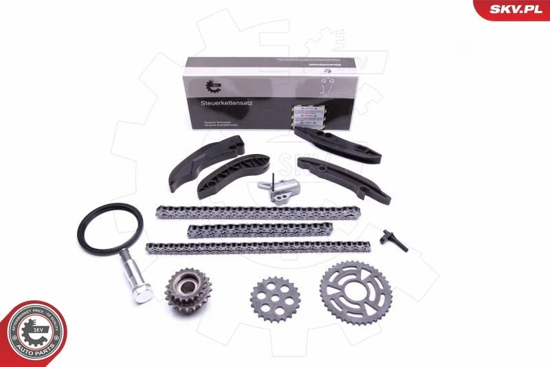 Kit de corrente de distribuição ESEN SKV 21SKV199