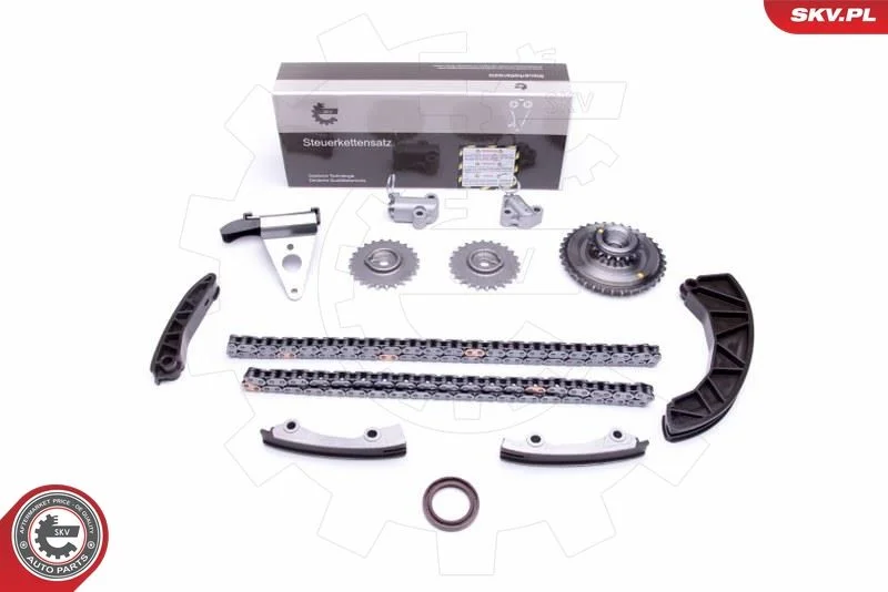 Kit de corrente de distribuição ESEN SKV 21SKV225