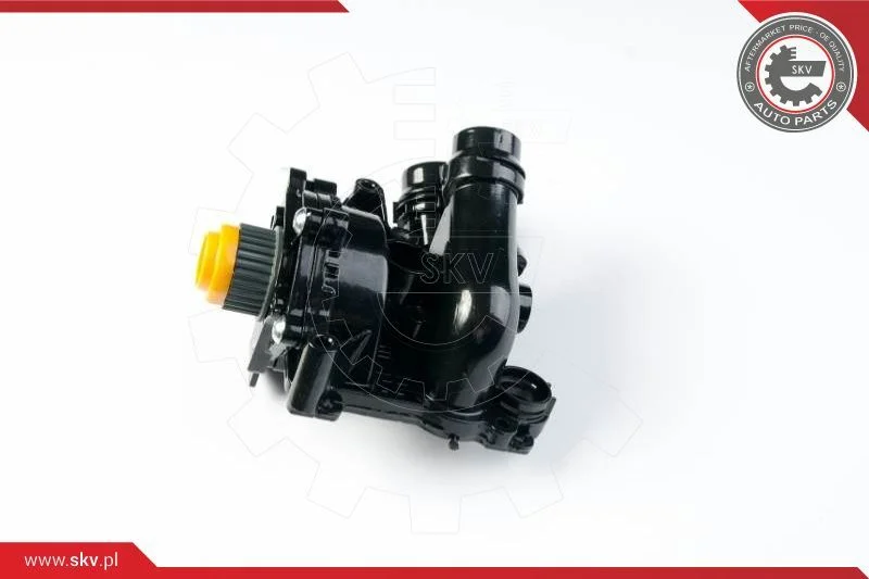 Water Recirculation Pump, parking heater ESEN SKV 22SKV001