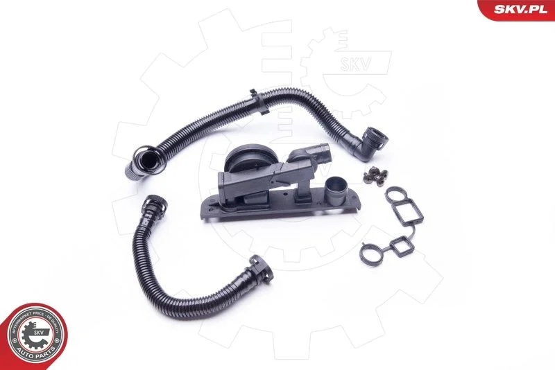 Kit de Reparo, ventilação do cárter ESEN SKV 31SKV005