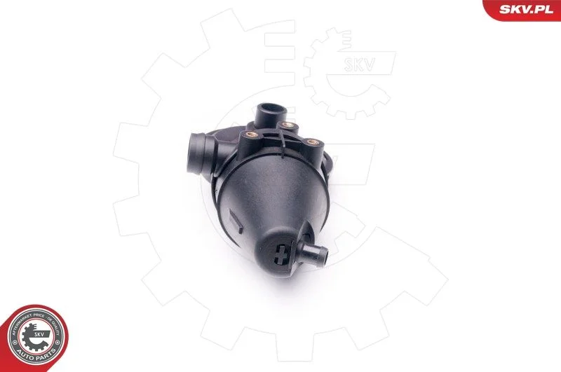 Kit de Reparo, ventilação do cárter ESEN SKV 31SKV039
