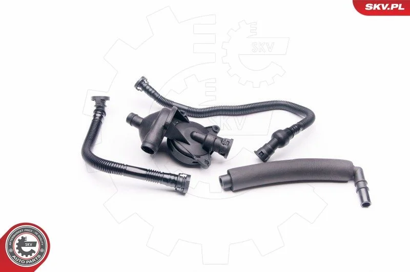 Kit de Reparo, ventilação do cárter ESEN SKV 31SKV042