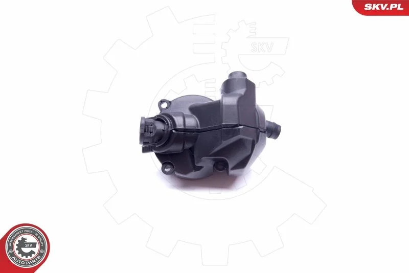 Separador de Óleo, ventilação do cárter ESEN SKV 31SKV077