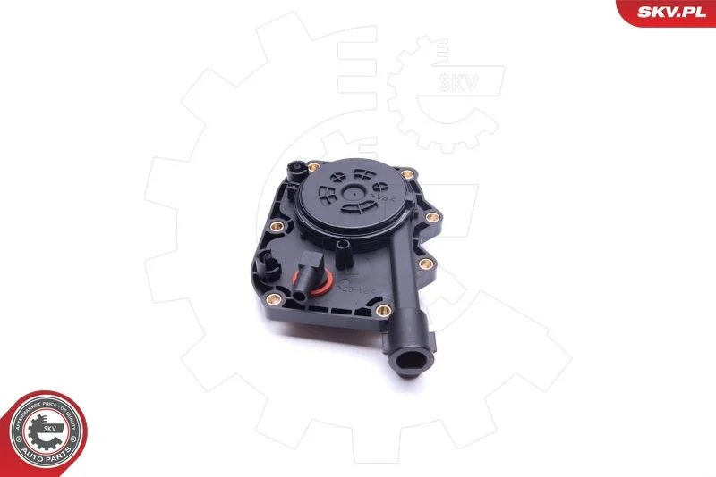 Kit de Reparo, ventilação do cárter ESEN SKV 31SKV103
