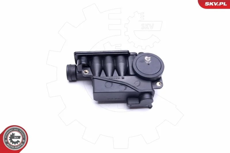 Válvula, ventilação do cárter ESEN SKV 31SKV155