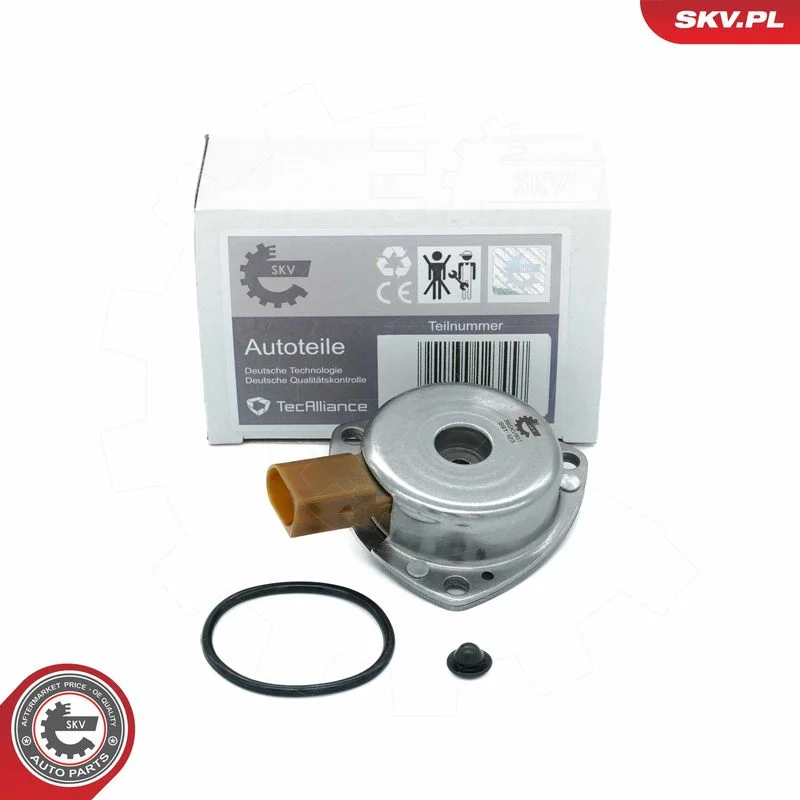 Central Magnet, camshaft adjustment ESEN SKV 39SKV901