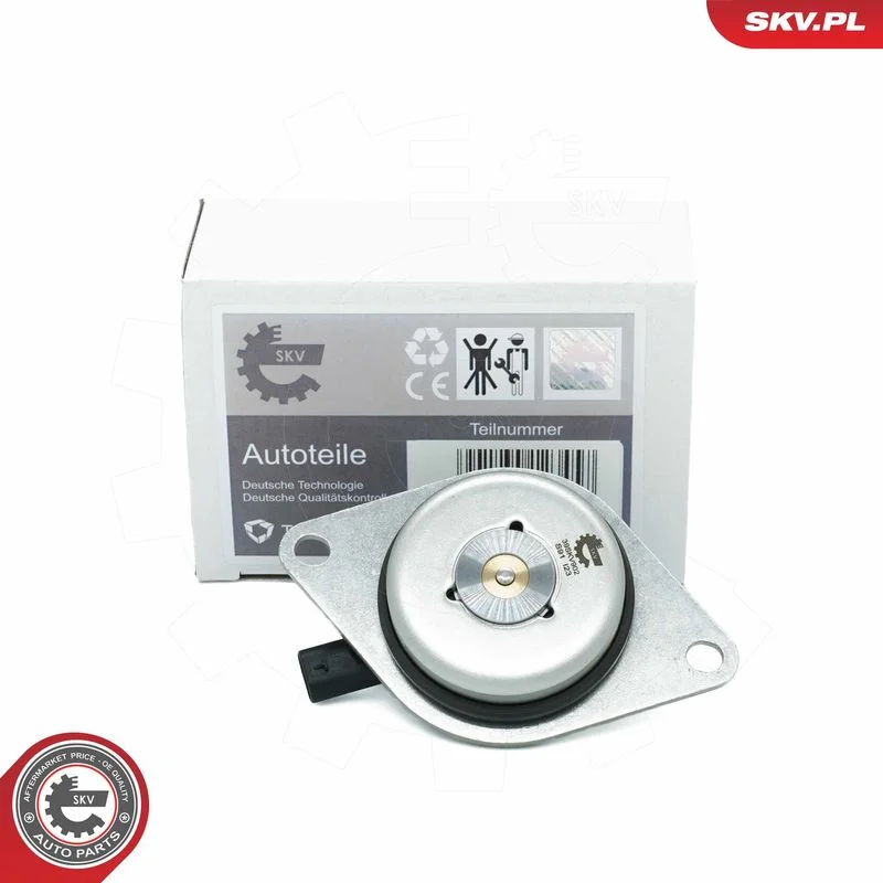 Ímã Central, ajuste do comando de válvulas ESEN SKV 39SKV902