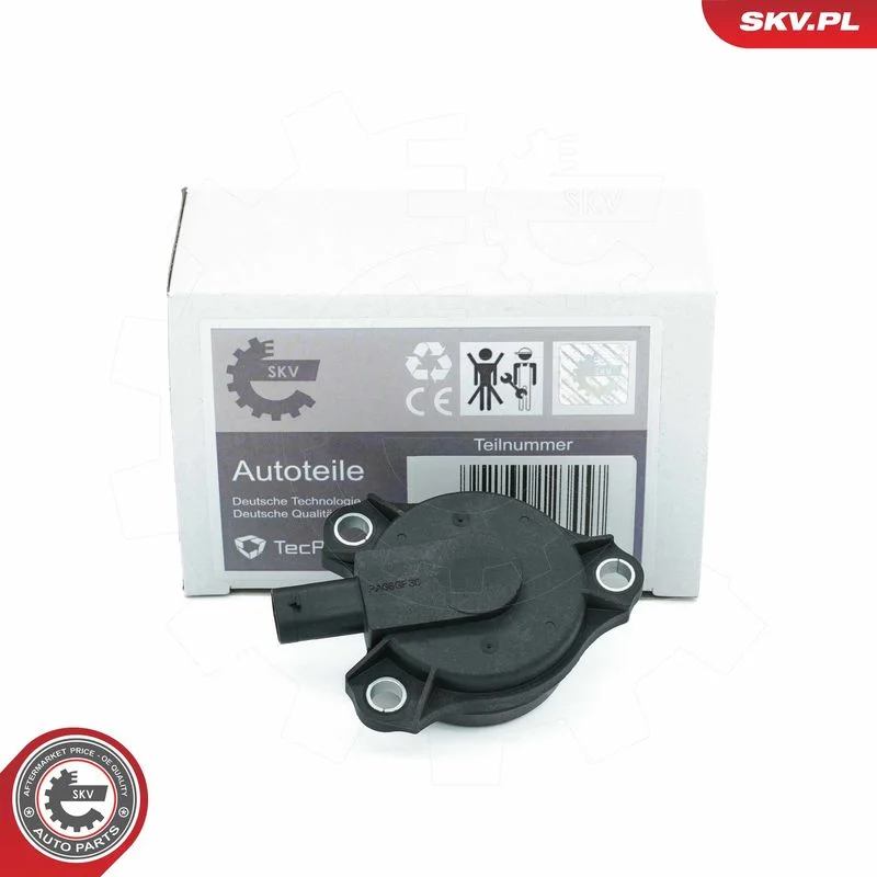 Ímã Central, ajuste do comando de válvulas ESEN SKV 39SKV903