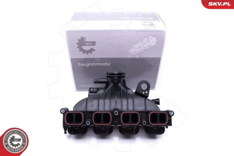 Intake Manifold Module ESEN SKV 49SKV001