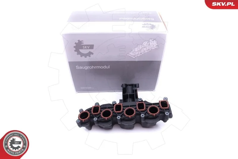 Intake Manifold Module ESEN SKV 49SKV008