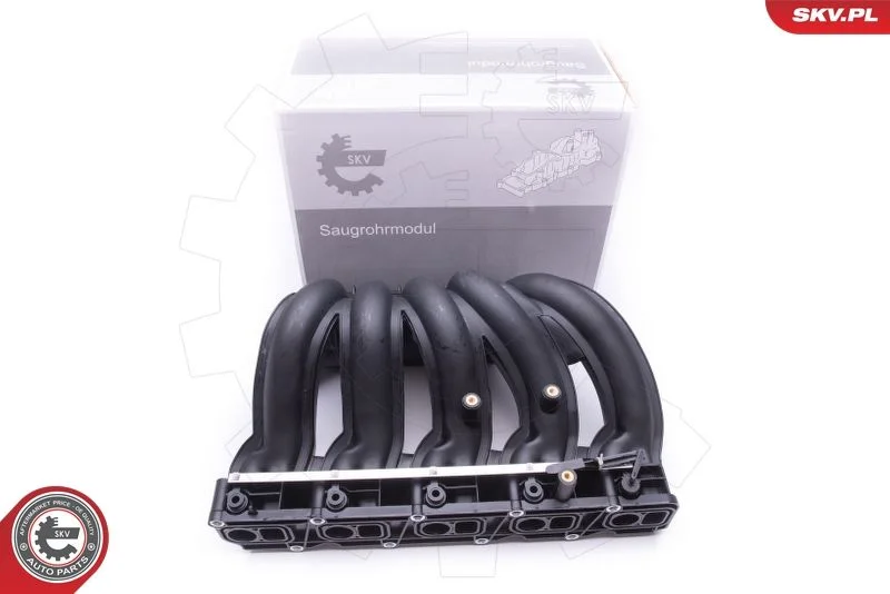 Intake Manifold Module ESEN SKV 49SKV012