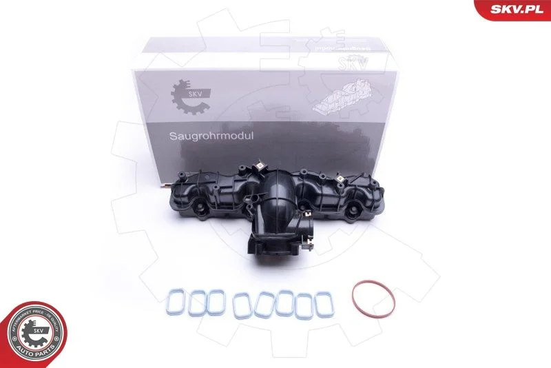 Intake Manifold Module ESEN SKV 49SKV033