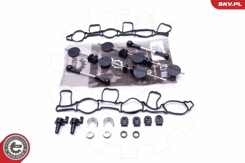 Kit de Reparação, módulo do coletor de admissão ESEN SKV 49SKV500