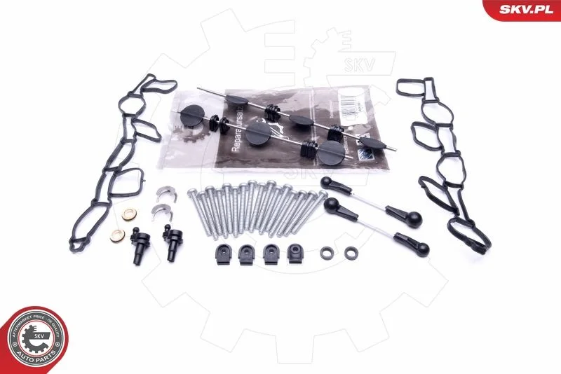 Kit de Reparação, módulo do coletor de admissão ESEN SKV 49SKV501