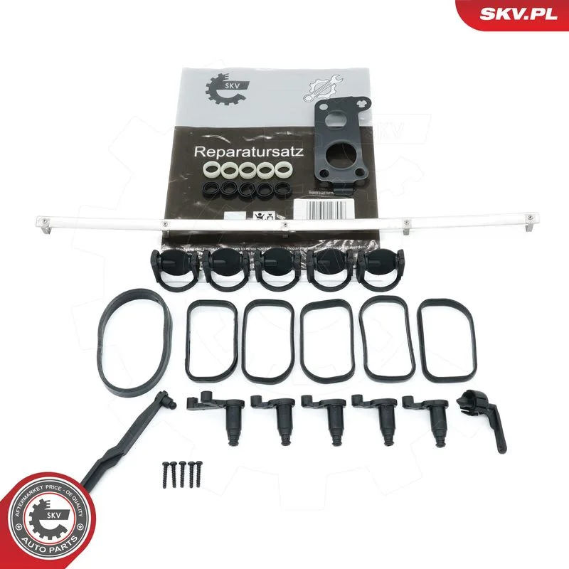 Kit de Reparação, módulo do coletor de admissão ESEN SKV 49SKV506