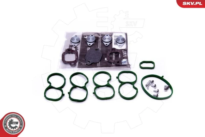 Kit de Reparação, módulo do coletor de admissão ESEN SKV 49SKV512