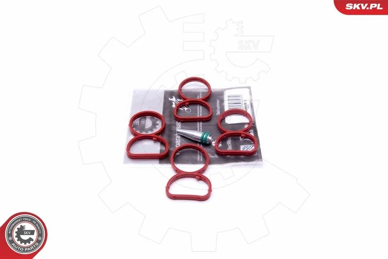Repair Kit, intake manifold module ESEN SKV 49SKV513