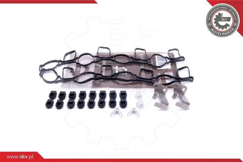 Kit de Reparação, módulo do coletor de admissão ESEN SKV 49SKV517