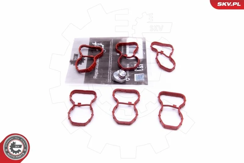Kit de Reparação, módulo do coletor de admissão ESEN SKV 49SKV520
