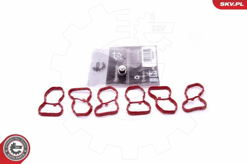 Repair Kit, intake manifold module ESEN SKV 49SKV522