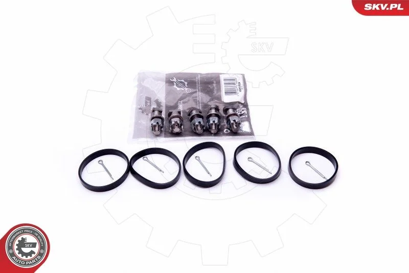 Kit de Reparação, módulo do coletor de admissão ESEN SKV 49SKV524