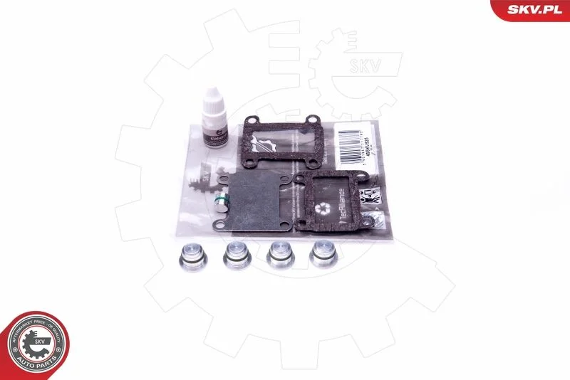 Repair Kit, intake manifold module ESEN SKV 49SKV525