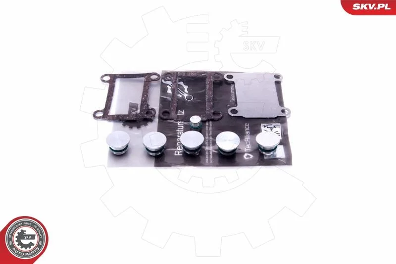 Repair Kit, intake manifold module ESEN SKV 49SKV526