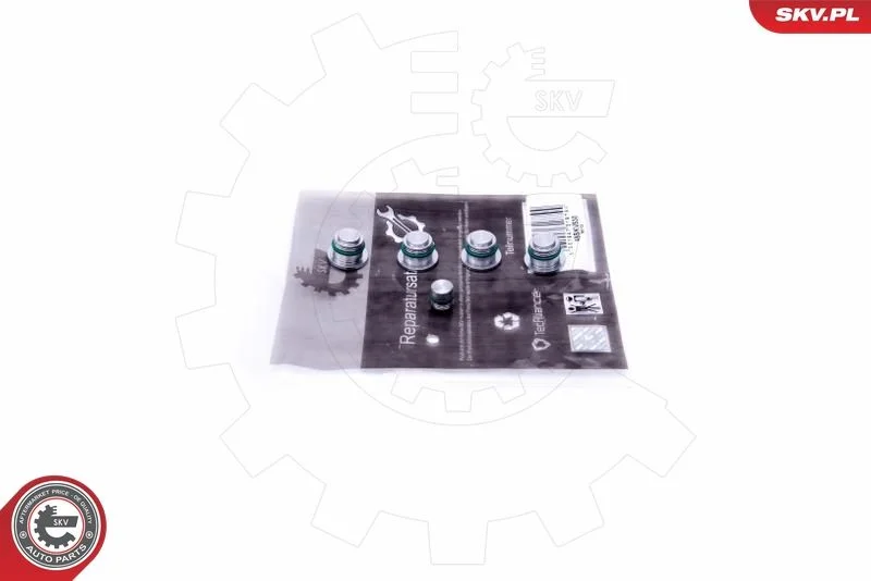 Kit de Reparação, módulo do coletor de admissão ESEN SKV 49SKV530