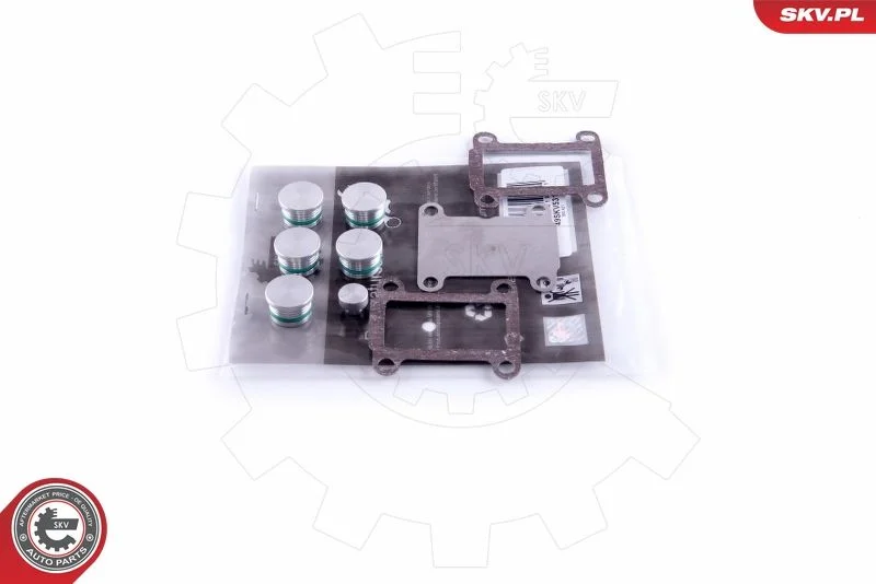 Kit de Reparação, módulo do coletor de admissão ESEN SKV 49SKV531