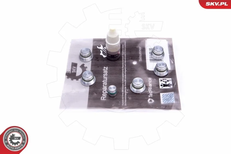 Repair Kit, intake manifold module ESEN SKV 49SKV533