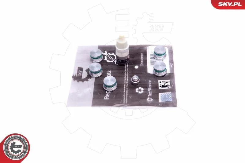 Repair Kit, intake manifold module ESEN SKV 49SKV537