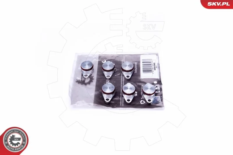 Kit de Reparação, módulo do coletor de admissão ESEN SKV 49SKV545