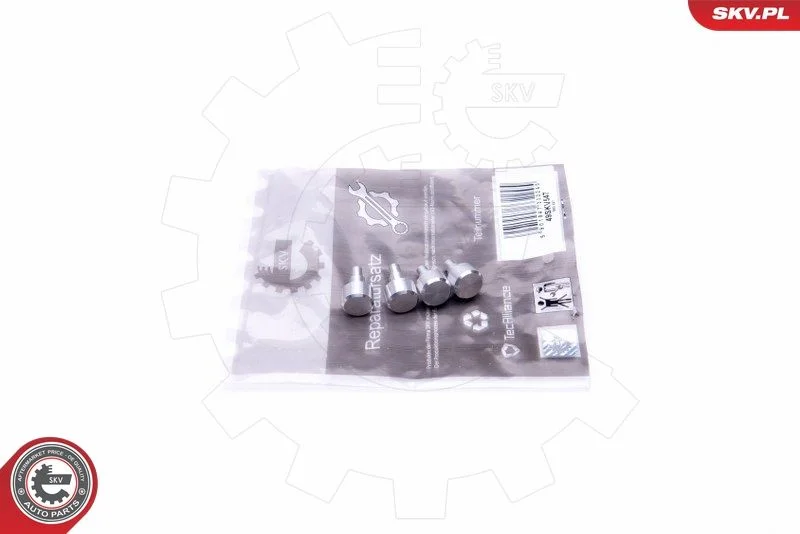 Kit de Reparação, módulo do coletor de admissão ESEN SKV 49SKV547