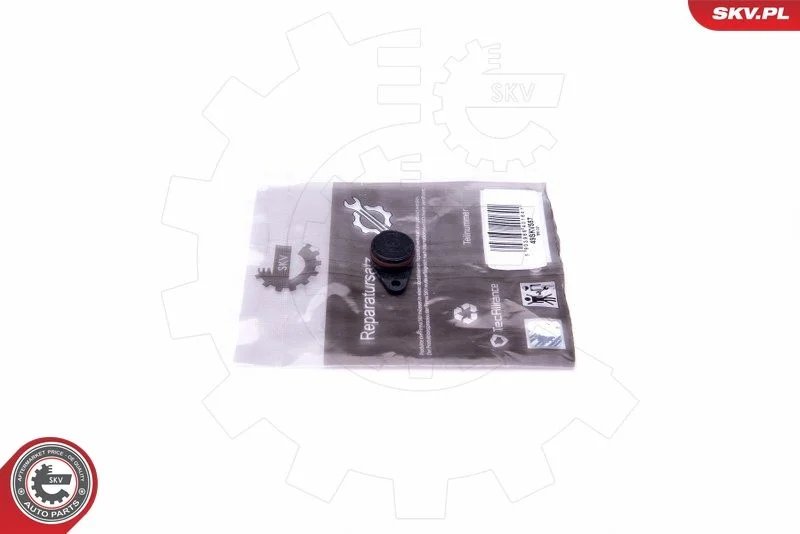 Kit de Reparação, módulo do coletor de admissão ESEN SKV 49SKV557