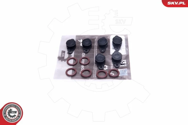Kit de Reparação, módulo do coletor de admissão ESEN SKV 49SKV559