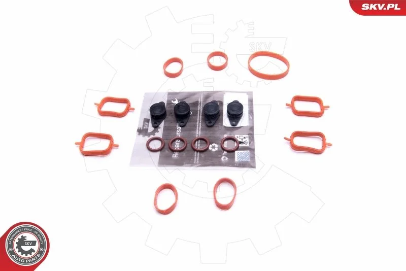 Kit de Reparação, módulo do coletor de admissão ESEN SKV 49SKV561
