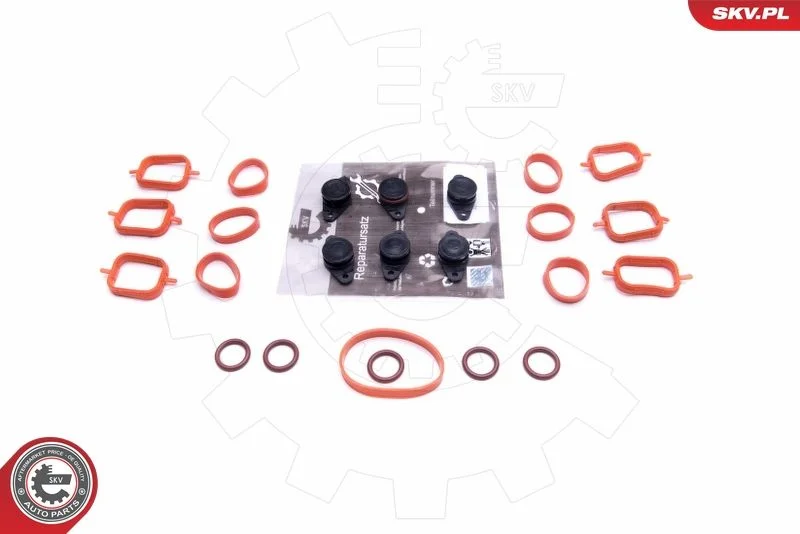 Repair Kit, intake manifold module ESEN SKV 49SKV562