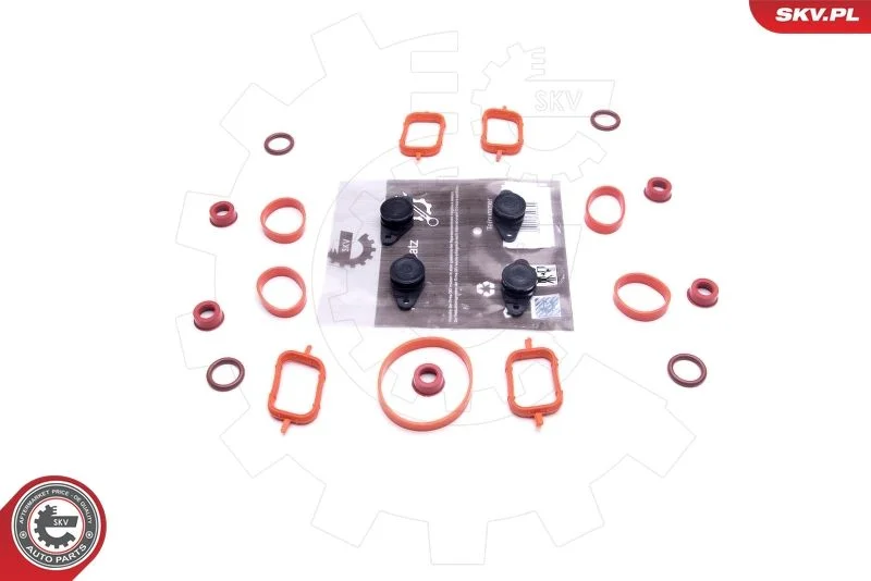 Repair Kit, intake manifold module ESEN SKV 49SKV563